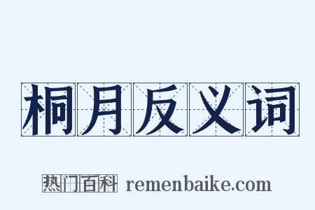桐月反义词是什么意思的图片